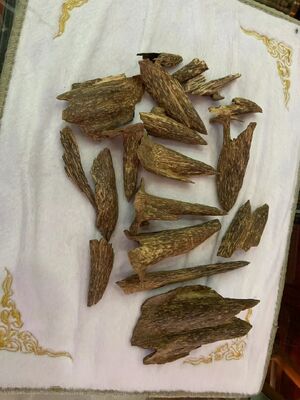 Quality Pure natural OUD Agarwood resin with rich aroma suitable for perfume production incense making and aromatherapy products factory
