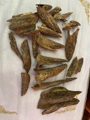 Quality Pure natural OUD Agarwood resin with rich aroma suitable for perfume production incense making and aromatherapy products factory