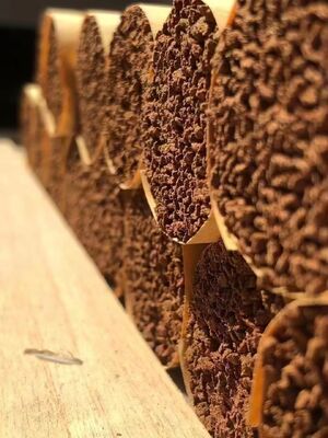 Quality Pure Agarwood Stick Handcrafted Incense Sticks with Rich Scent Perfect for Spiritual Practices Yoga and Home Fragrance factory