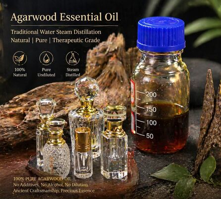 Quality Budget Version Ancient Water Distilled Insect Eye Natural Agarwood Oil Pure Grade factory