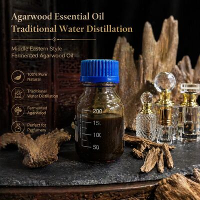 品質 CO₂ Supercritical Fermented Agarwood Essential Oil 10.1 (Middle Eastern Style) 工場