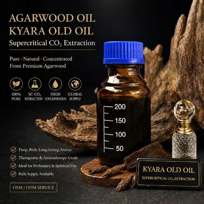 Quality Kynam Old Oil Supercritical CO2 Extraction Steam Distilled Natural Agarwood factory
