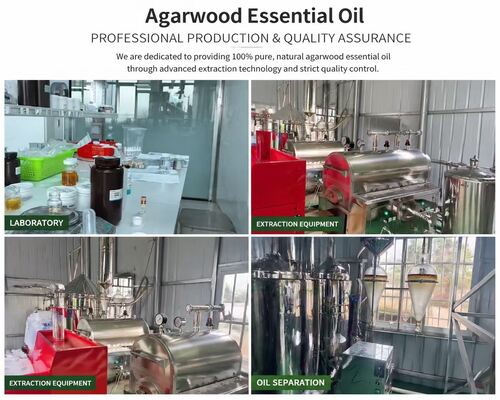 Quality Kynam Essential Oil Supercritical CO2 Extraction Pure Natural 10ml 5ml 1ml factory