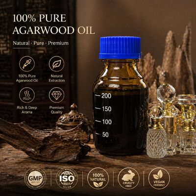 Quality Kynam Essential Oil Supercritical CO2 Extraction Pure Natural 10ml 5ml 1ml factory